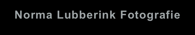 Norma Lubberink Fotografie
